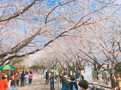 Công viên sinh thái Daejeo gần trường cao đẳng Busan Kyungsang