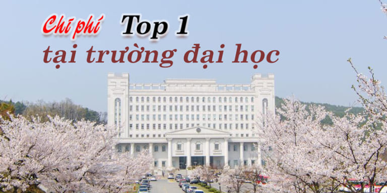 Chi phí du học ở trường Top 1