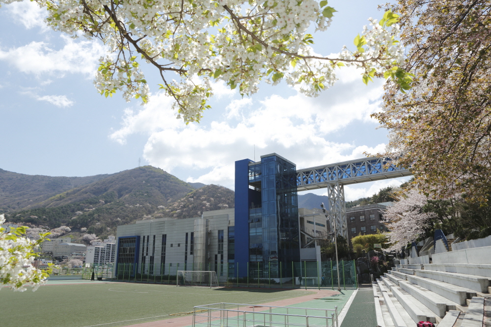 Cao đẳng Khoa học Kỹ thuật Busan – Cao đẳng nghề hàng đầu Hàn Quốc