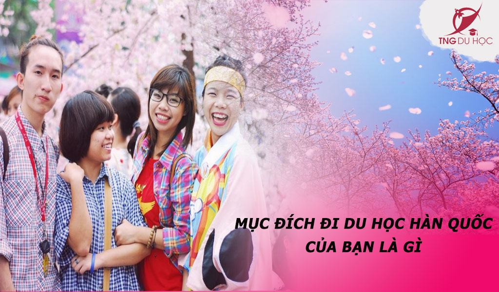 Mục đích đi du học Hàn Quốc của bạn là gì?